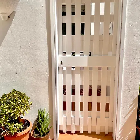 Casa Curiosa