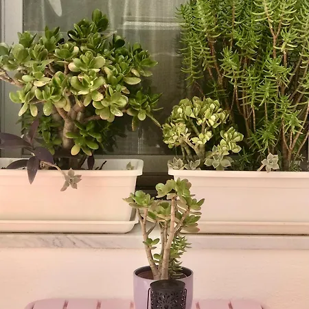 Casa Curiosa Porto Torres