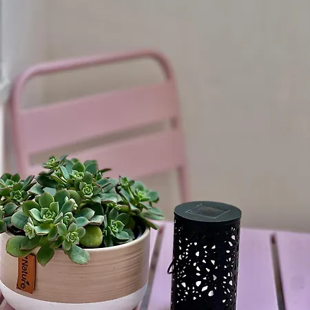 Casa Curiosa Διαμέρισμα