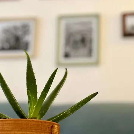 Casa Curiosa Porto Torres