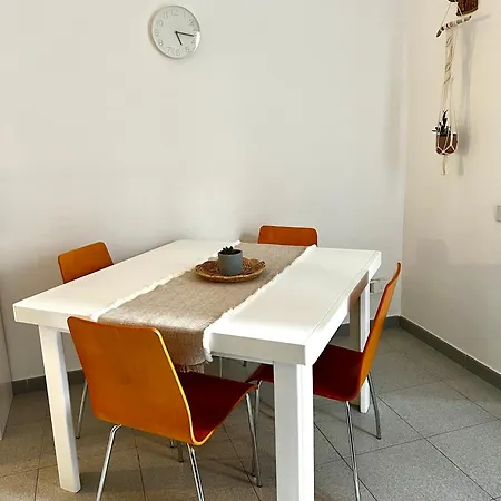 Casa Curiosa *