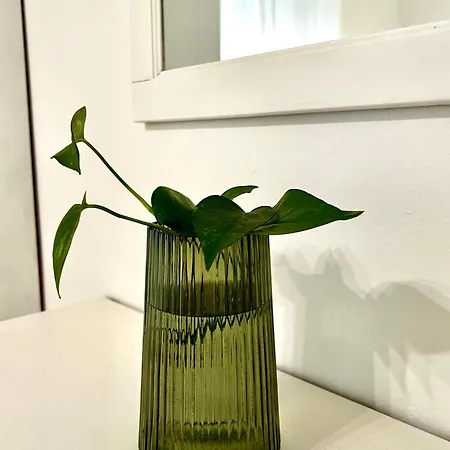 Casa Curiosa ポルト・トッレス