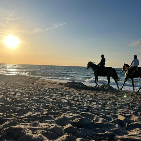 Apartment Casa Curiosa Porto Torres