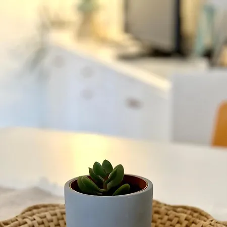 Casa Curiosa Apartment *