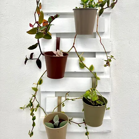 Apartment Casa Curiosa