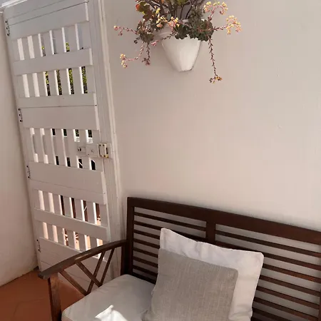 Casa Curiosa *